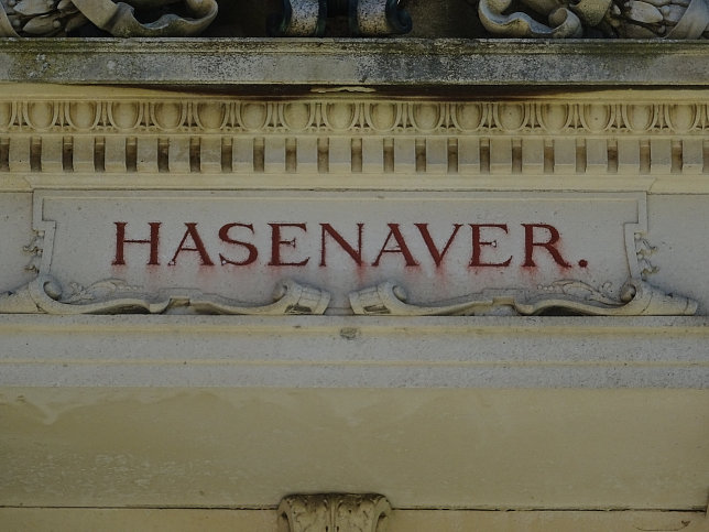 Carl von Hasenauer