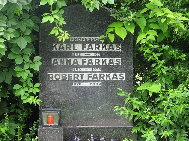 Karl Farkas