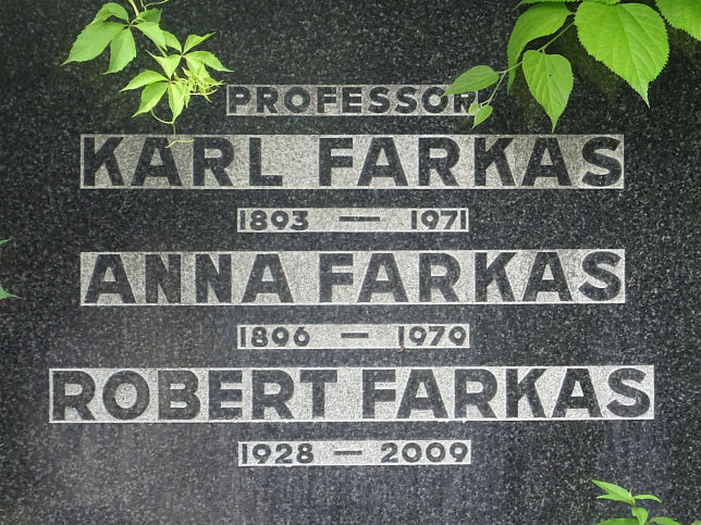 Karl Farkas