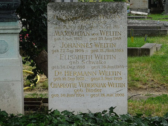 Rosa Mayreder und Karl Mayreder