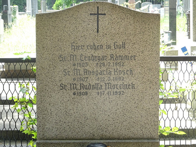 Schwestern des 3. Orden des Hl. Franziskus