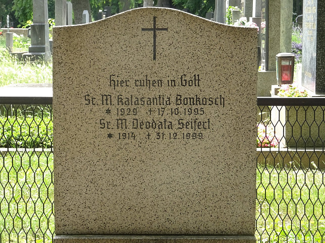 Schwestern des 3. Orden des Hl. Franziskus