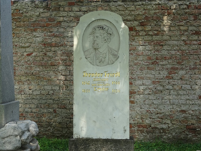 Theodor Friedl