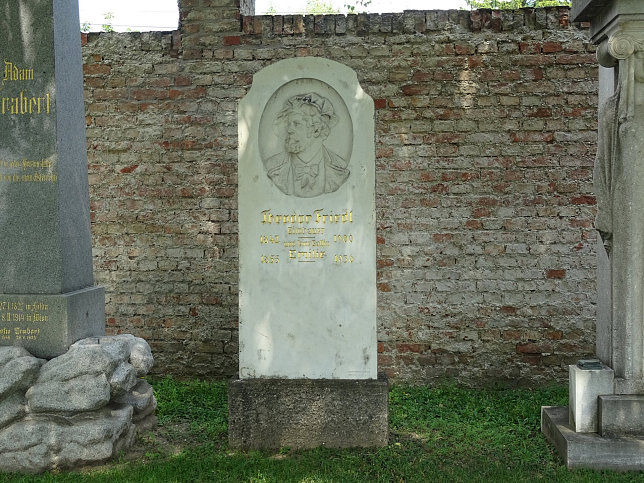 Theodor Friedl