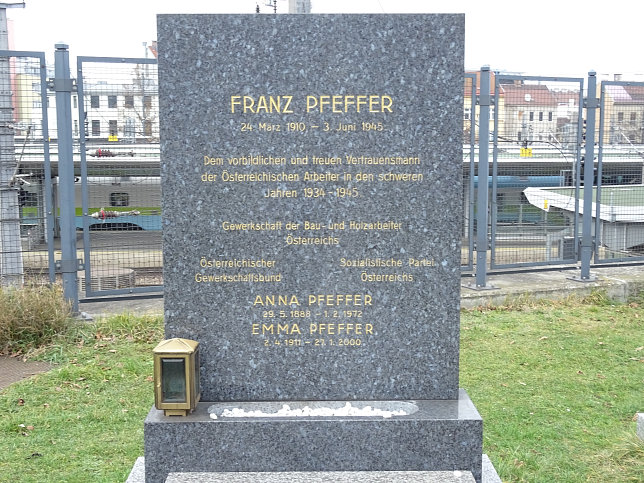 Franz Pfeffer