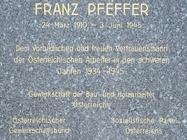 Franz Pfeffer