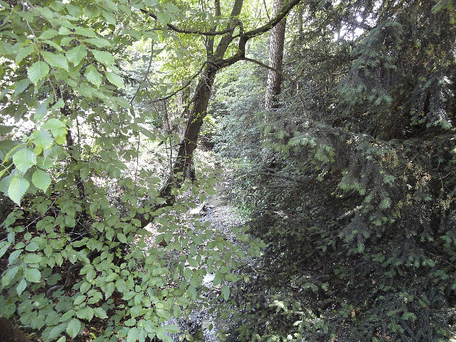 Katzengraben