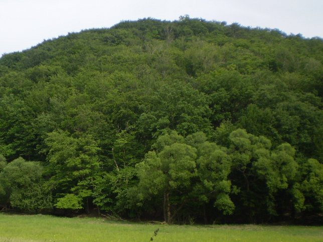 Falberg