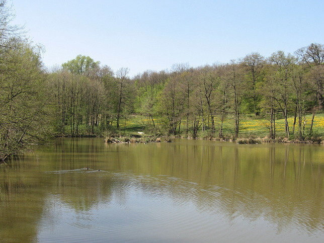 Wien Grünauer Teich