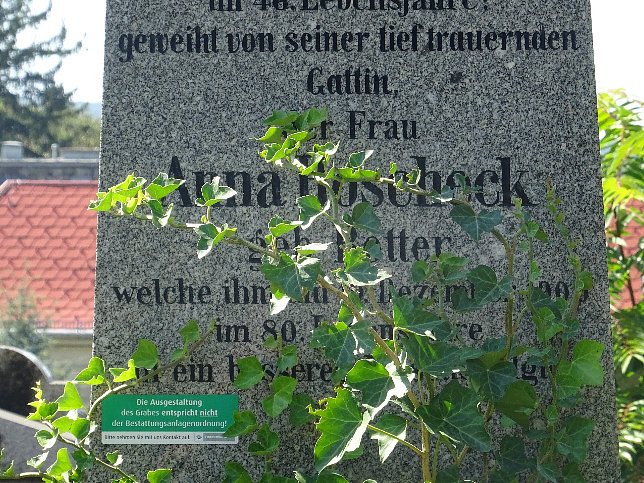 Andreas Hoscheck
