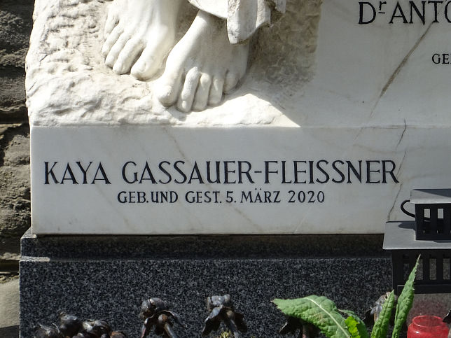 Anton Gassauer