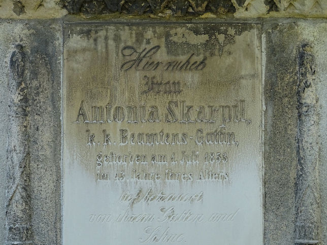 Antonia Skarpil