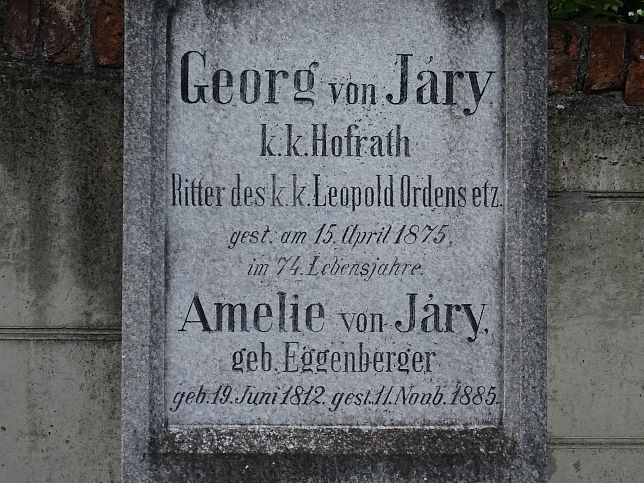 Georg von Jry
