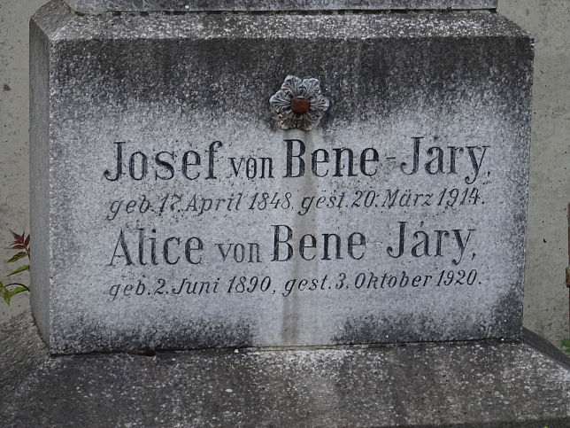 Georg von Jry