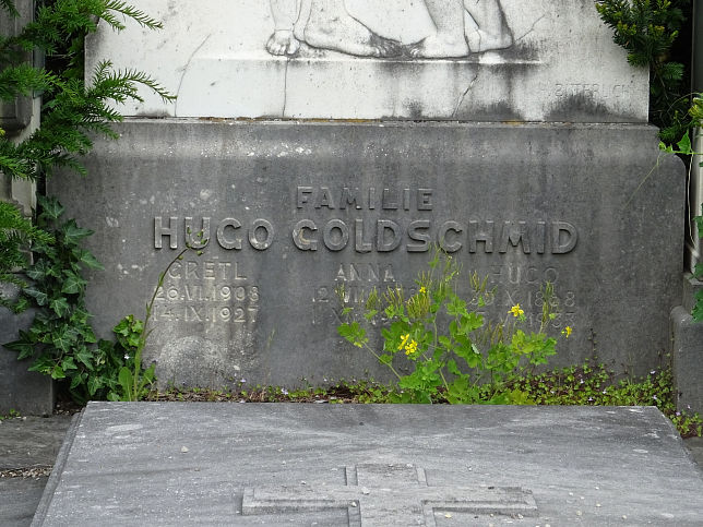 Hugo Goldschmid