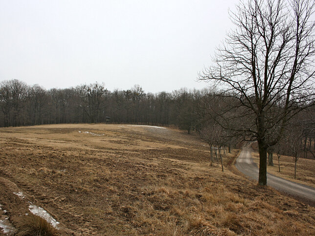 Mittlerer Eichberg