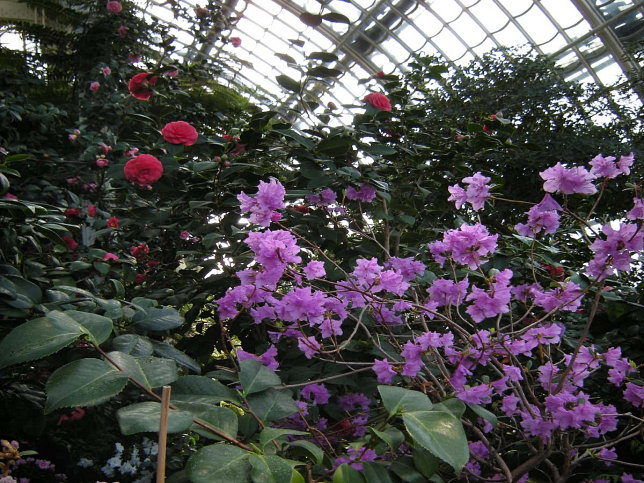 Palmenhaus (Wien-Schnbrunn)