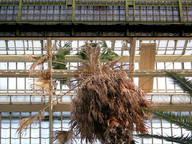 Palmenhaus (Wien-Schnbrunn)