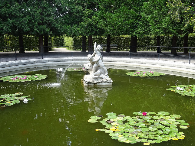 Fischbassin im Schlosspark Schnbrunn