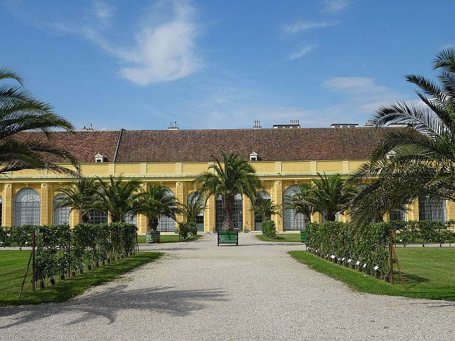 Schloss Schnbrunn, Orangeriegarten