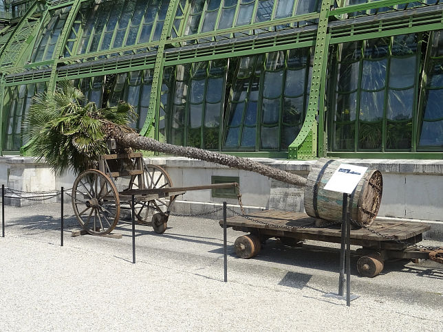 Palmenhaus (Wien-Schnbrunn)