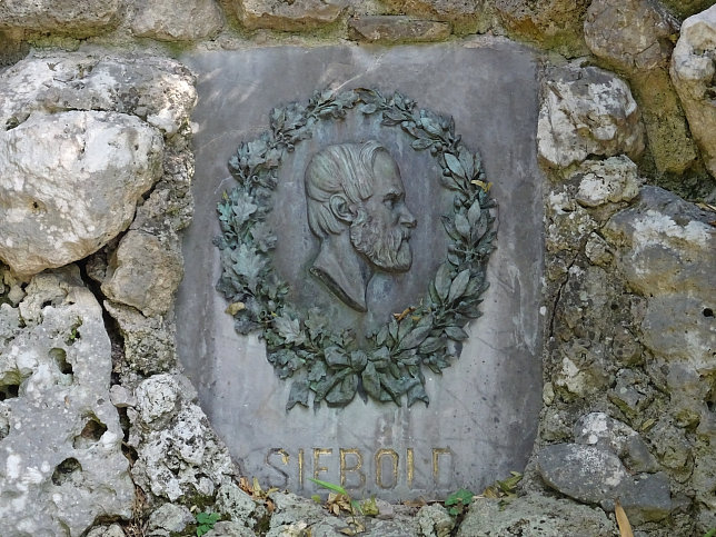 Schloss Schnbrunn, Denkmal fr Philipp Franz Siebold (43)