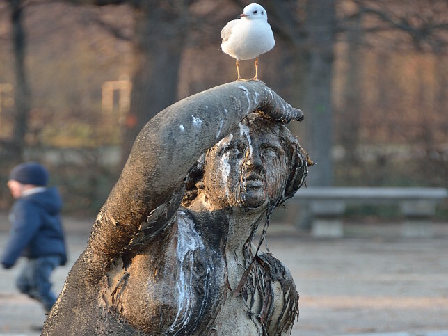 Westlicher Najadenbrunnen (Sternbassin)