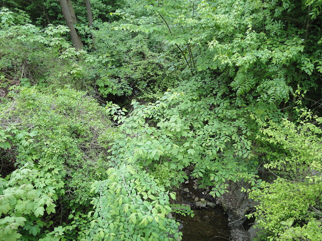 Kasgrabenbach
