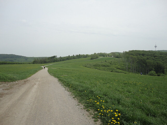Sophienalpe