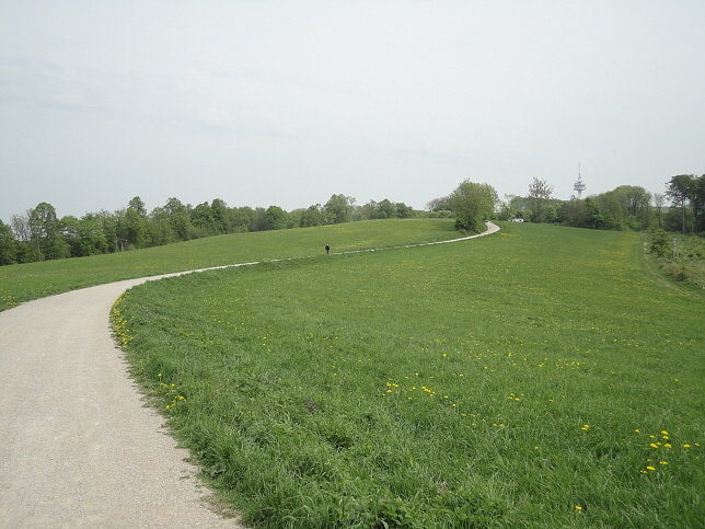 Sophienalpe