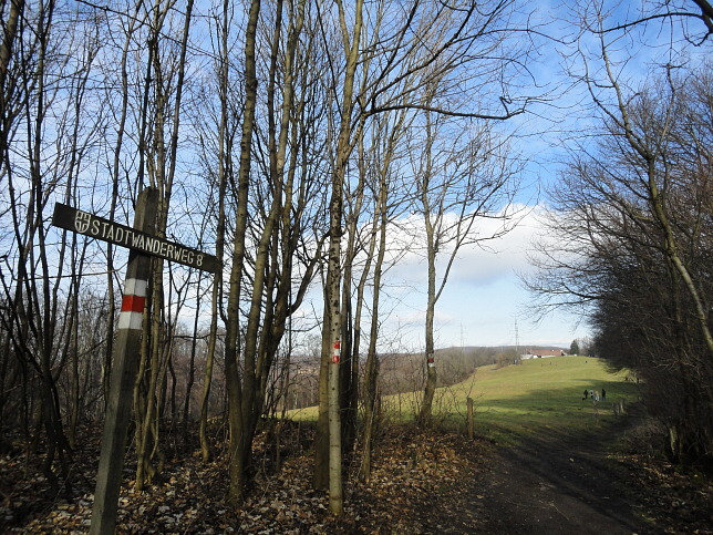 Schwarznettelwiese
