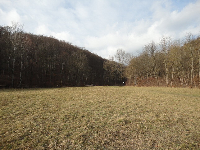 Spitalwiese