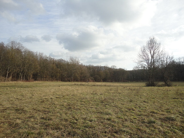 Spitalwiese