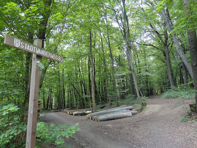 Stadtwanderweg 8