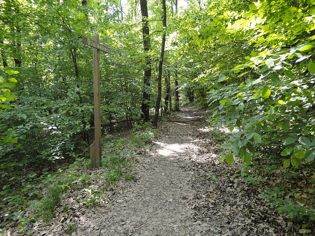 Stadtwanderweg 8