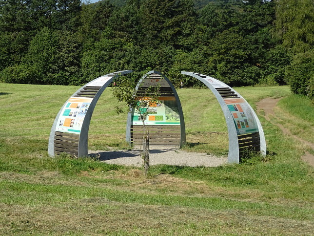 Steinhofgrnde