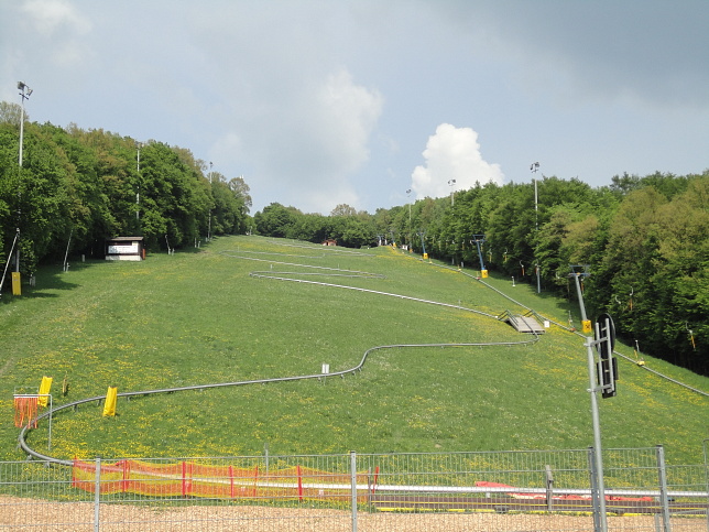 Hohe-Wand-Wiese