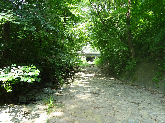 Rotwassergraben