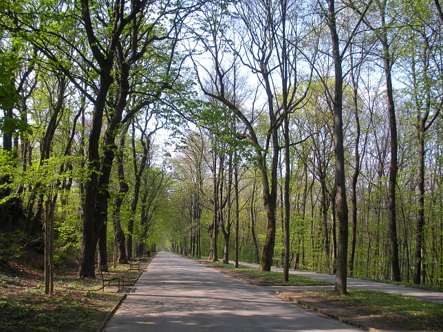 Schwarzenbergpark