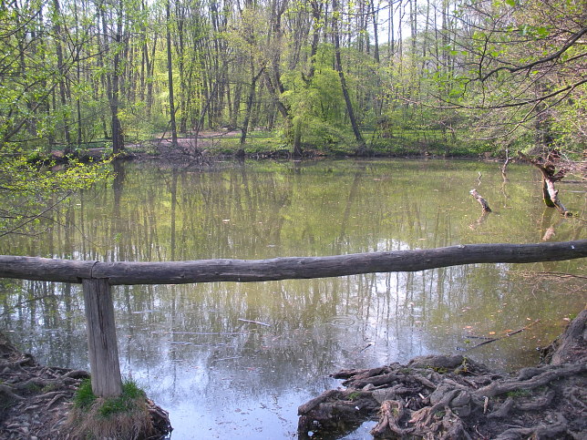 Schwarzenbergpark