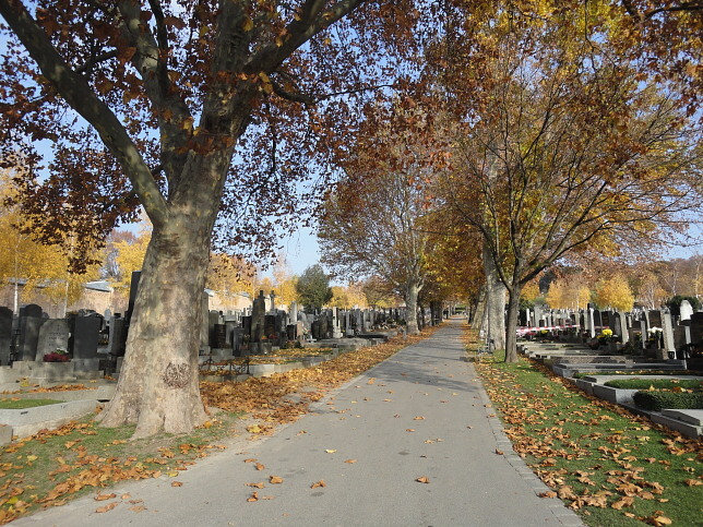 Hernalser Friedhof