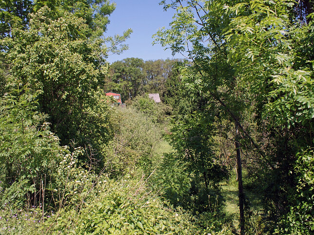 Heuberg