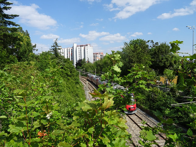 Lidlbrcke