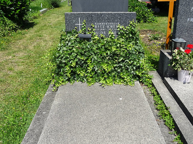 Fritz Krenn