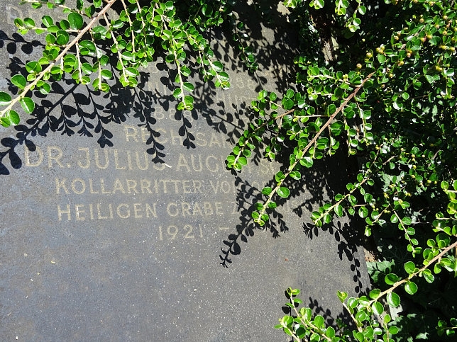 Julius Schuster (Jurist)