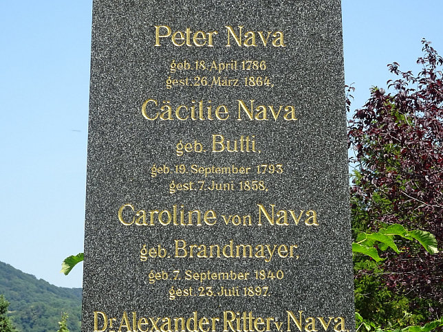 Alexander Nava