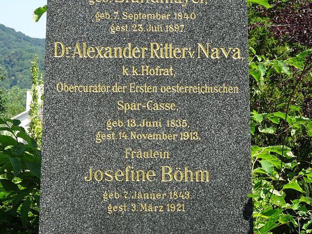 Alexander Nava