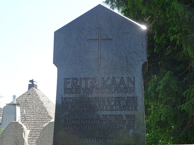 Friedrich Kaan Edler von Distelfingen