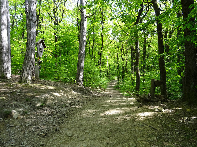 Kreuz im Dorotheerwald