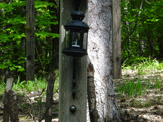 Kreuz im Dorotheerwald